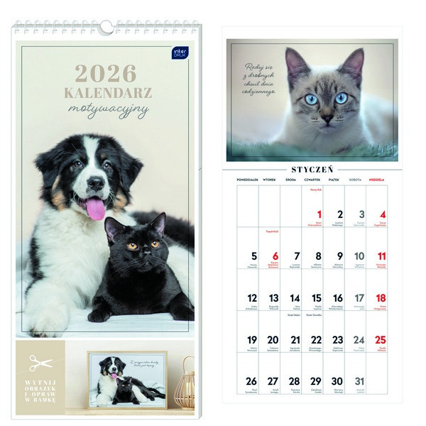 Kalendarz motywacyjny 22x46 Koty Interdruk